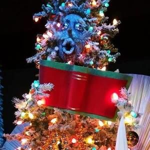 Meet your Posher, Joann